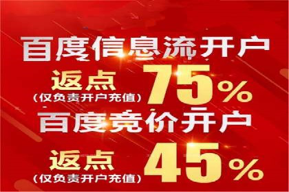 探索百度广告竞价的奥秘：某行业领先企业的投放经验